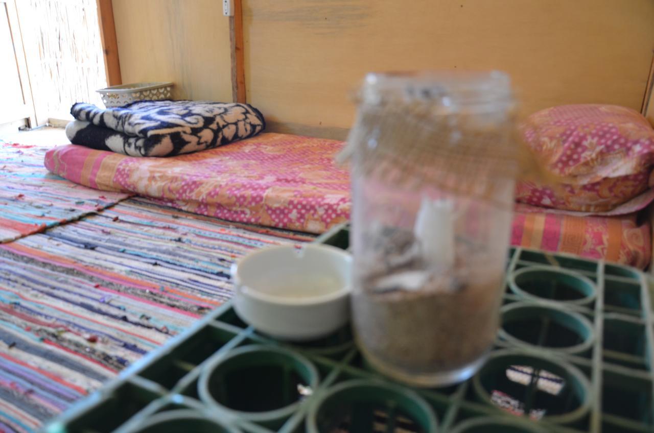 Отель Sakratah Camp - Eco Friendly Таба Экстерьер фото